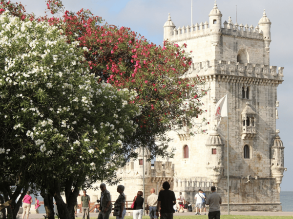 Lisbon: Half-day Guided Sightseeing Tour by Tuk Tuk - Savoring Traditional Liqueur