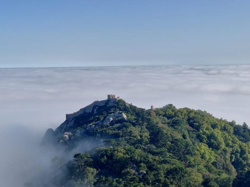 Lisbon: Half-Day Sintra Tour with Pena Palace and Regaleira - Authentic Insights from Travelers