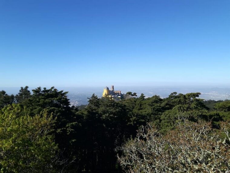 Lisbon: Half-Day Sintra Tour with Pena Palace and Regaleira - The Sum Up