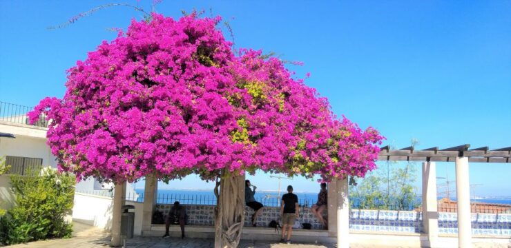 Lisbon: Highlights Tour of Lisbon, Sintra, and Cascais - Tour Itinerary Overview