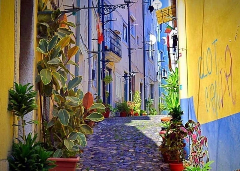 Lisbon Highlights Tuk Tuk Tour Historic & Scenic Guide - Final Thoughts