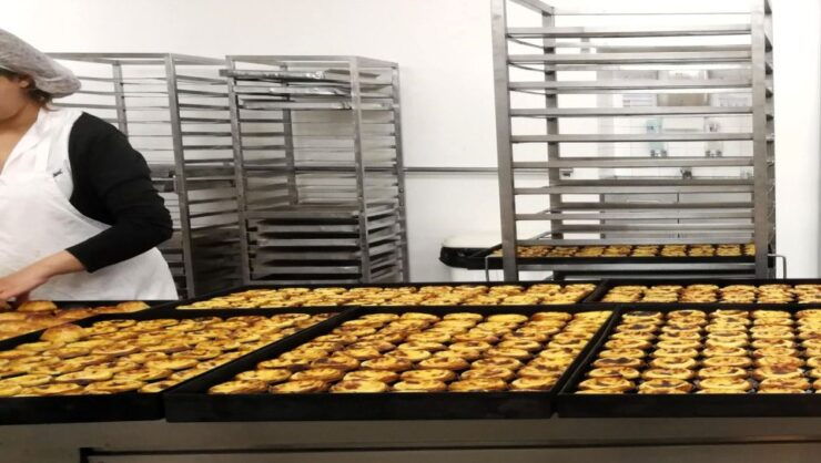 Lisbon: Highlights With Tastings in Full Day Private Tour - Tour Duration and Availability