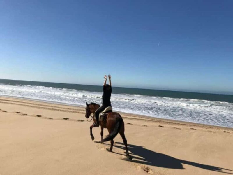 Lisbon: Horse Riding at the Beach with Lunch - Good To Know