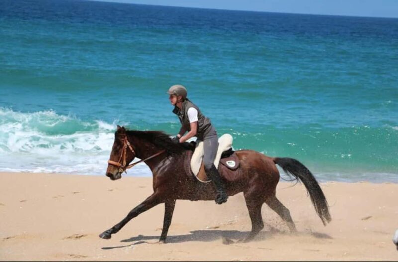 Lisbon: Horse Riding at the Beach with Lunch - Introduction: A Coastal Escape from Lisbon