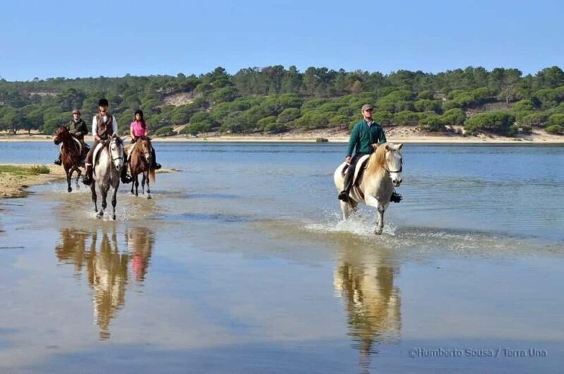 Lisbon: Horse Riding at the Beach with Lunch - Why This Tour Offers Great Value