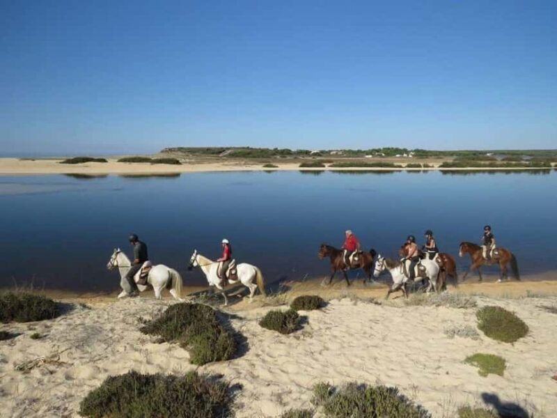 Lisbon: Horse Riding at the Beach with Lunch - Authentic Experiences and Insider Details