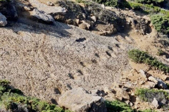 Lisbon - Jeep Tour Arrabida, Sesimbra & Dinossaur Footprints - Arrabida Natural Park