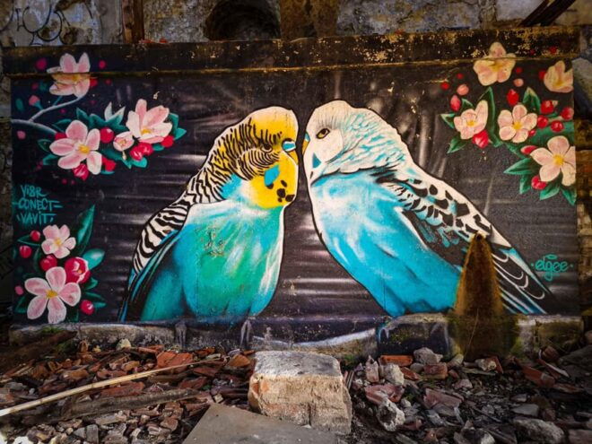 Lisbon: Lost Places & Street Art Tour for Photographers - Meeting Point and Duration