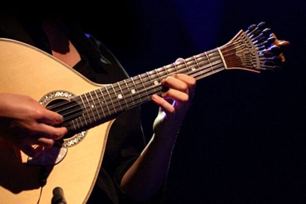 Lisbon: Luxury Fado Tour With Dinner Included - Booking Information