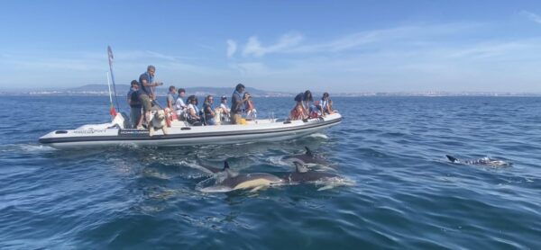 Lisbon: MAAT Entry Ticket & Dolphin Watching Boat Tour - Photography Guidelines