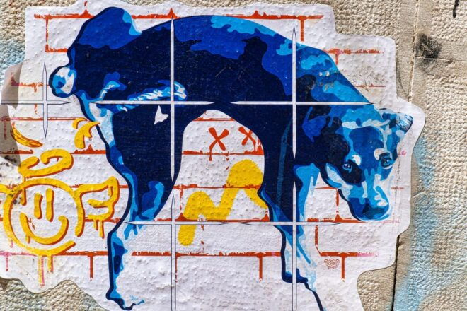 Lisbon: Magical-Mystery-Walkingtour for Photographer - Inclusions and Exclusions