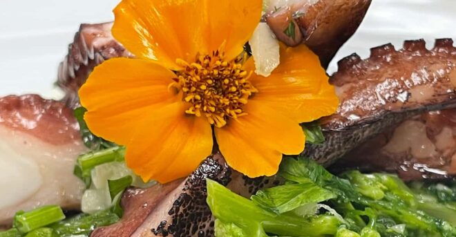 Lisbon: Market Experience & Cooking Class - Hands-on Cooking Class