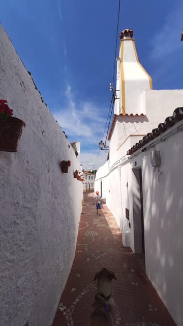 Lisbon: Marvão, Castelo de Vide, and Nisa Day Tour - Who Would Love This Tour?