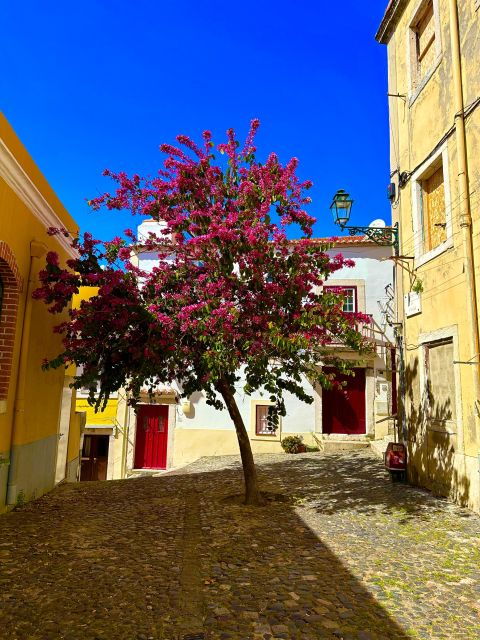 Lisbon: Moorish Quarter Free Walking Tour - Tour Details