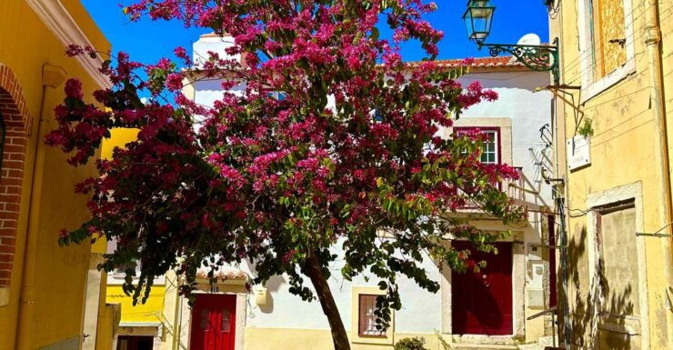 Lisbon: Moorish Quarter Free Walking Tour - Activity Description