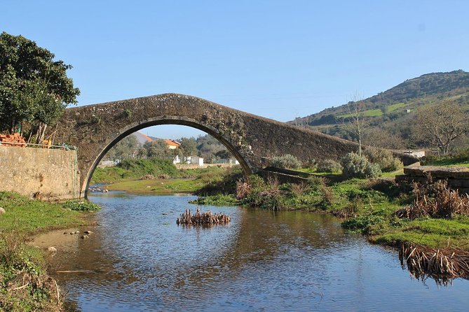 Lisbon Northern Region Wine Tasting Private Tour - Tour Overview
