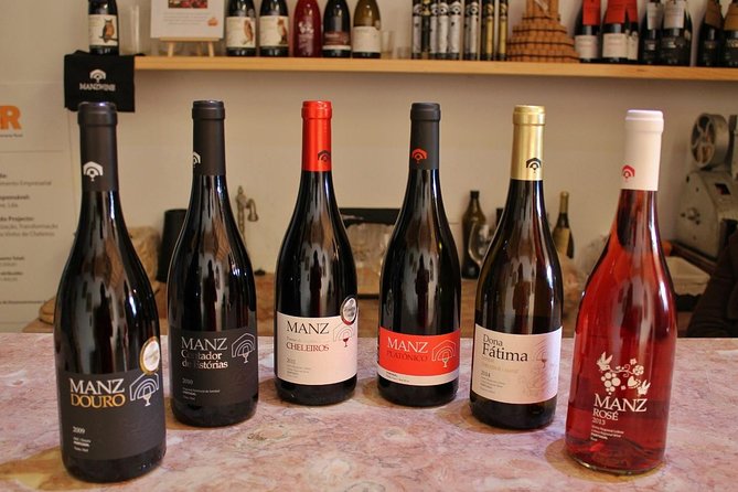 Lisbon Northern Region Wine Tasting Private Tour - Inclusions