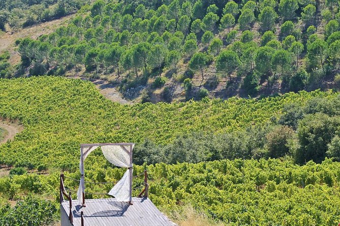 Lisbon Northern Region Wine Tasting Private Tour - Positive Experiences