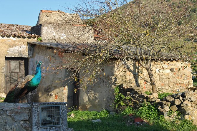 Lisbon Northern Region Wine Tasting Private Tour - Wineries Visited