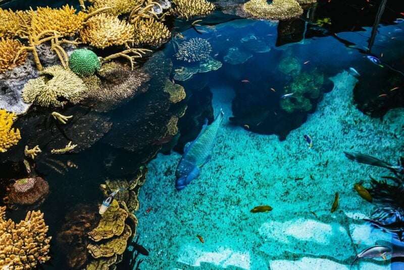 Lisbon: Oceanário de Lisboa Entrance Ticket - Who Should Visit?