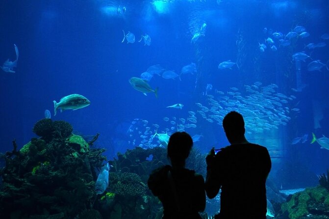 Lisbon Oceanarium (Oceanario De Lisboa) Admission Ticket - Free Admission for Children