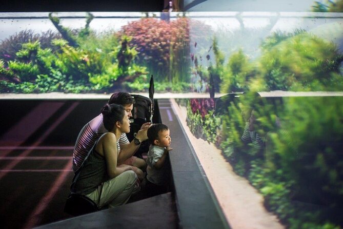 Lisbon Oceanarium (Oceanario De Lisboa) Admission Ticket - Cancellation Policy