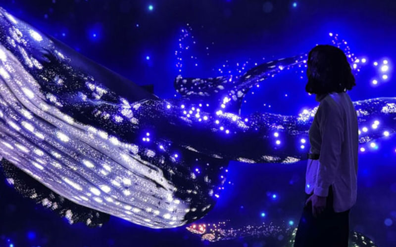 Lisbon Oceanarium ticket - Should you book the Lisbon Oceanarium ticket?