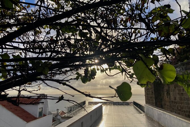 Lisbon Off The Beaten Track and Main Sights Private Walking Tour - Traveler Reviews