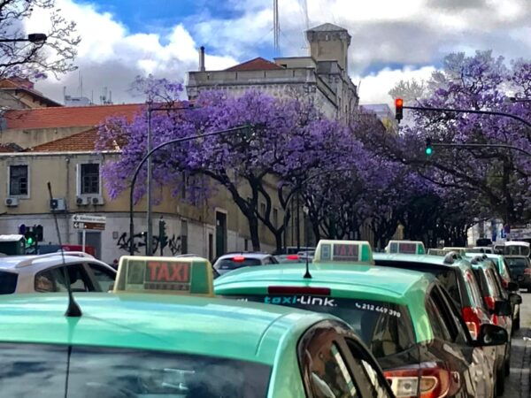 Lisbon: Old Town and Chiado Vintage Car Tour - Discover Lisbons Historic Neighborhoods