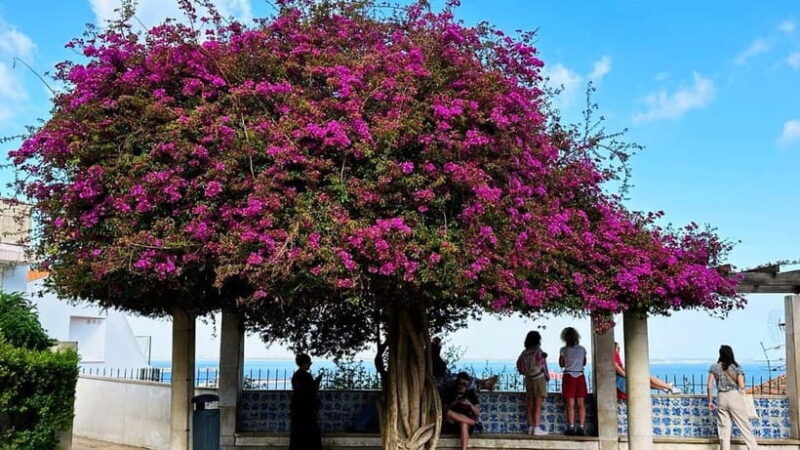 Lisbon: Old Town Tuk-Tuk Tour - Discovering Lisbon’s Old Town on a Tuk-Tuk