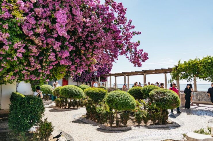 Lisbon: Old Town Tuk Tuk Tour - Activity Details