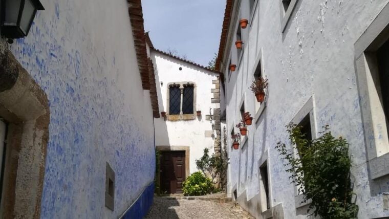 Lisbon: One Way to Douro Valley through Coimbra and Obidos - Travel Details and Practical Considerations
