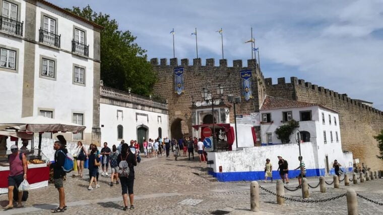 Lisbon: One Way to Douro Valley through Coimbra and Obidos - Pricing and Value