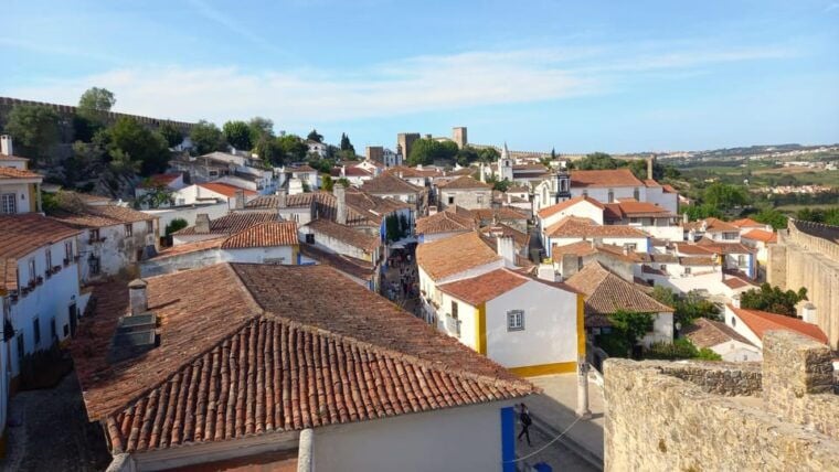 Lisbon: One Way to Douro Valley through Coimbra and Obidos - Who Should Book This Tour?