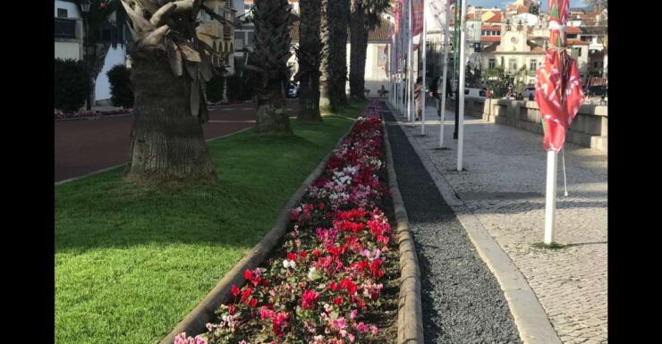 Lisbon: Pena Palace, Sintra, Cascais, and Cabo Roca Day Trip - Activity Details