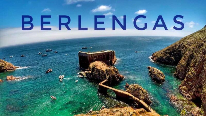Lisbon: Peniche, Berlenga & Mafra Palace Private Day Trip - An Overview of the Experience