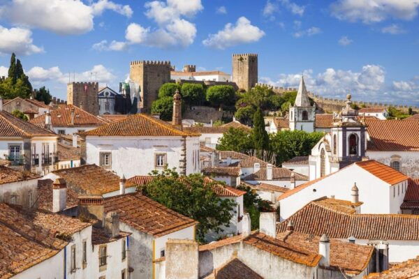 Lisbon-Porto Transfer Stopping in Óbidos, Nazaré, and Aveiro - Frequently Asked Questions