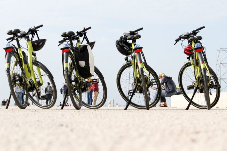 Lisbon: Portuguese Petiscos Tasting Tour by E-Bike - Experience Highlights