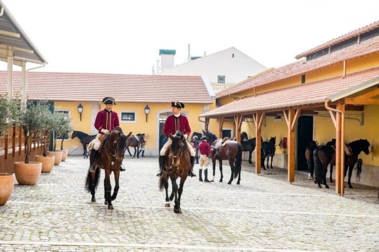 Lisbon: Portuguese Riding School Trainig With Lusitano Horse - Pricing and Booking Details