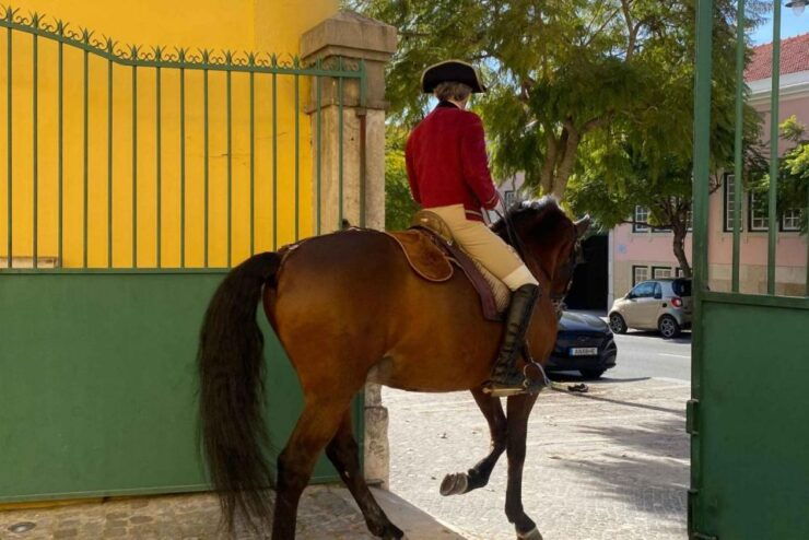 Lisbon: Portuguese Riding School Trainig With Lusitano Horse - Experience Highlights