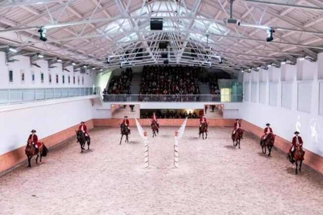 Lisbon: Portuguese Riding School Trainig With Lusitano Horse - Meeting Point and Important Information