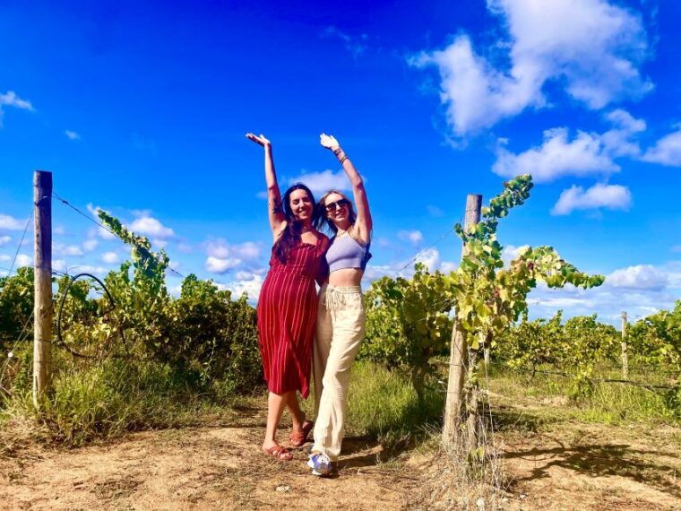 Lisbon: Private All Inclusive Setúbal & Arrábida Wine Tour - Authentic Experiences That Stand Out