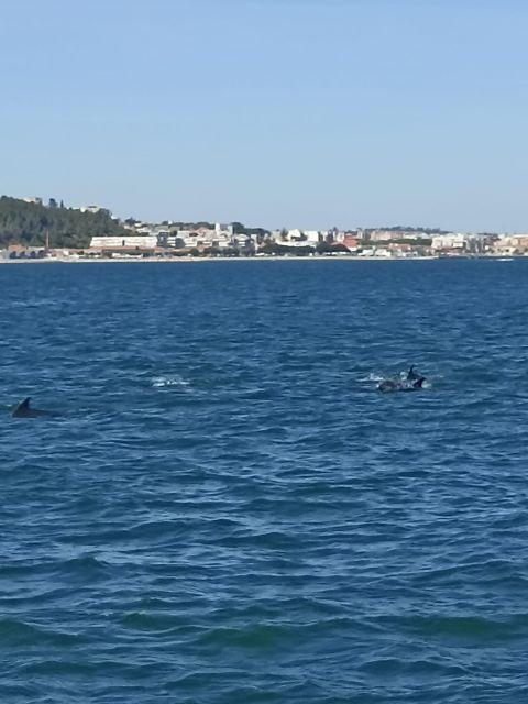 Lisbon: Private Arrábida and Dolphin Watching Boat Tour - Itinerary