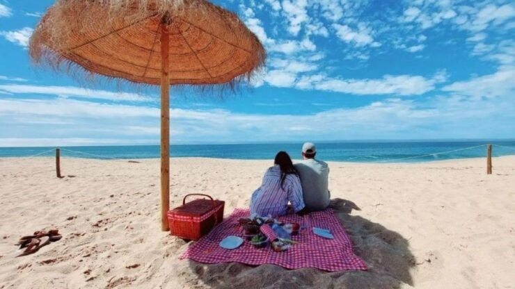 Lisbon: Private Arrábida & Sesimbra Beach Tour With Picnic - Experience Description