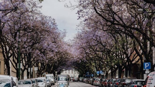 Lisbon: Private City Tour by Tuk-Tuk - Tour Experience