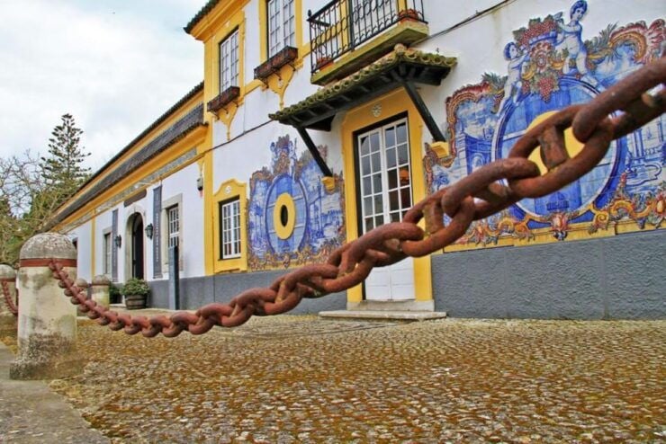 Lisbon: Private Full-Day Wine Tasting Tour - Highlights