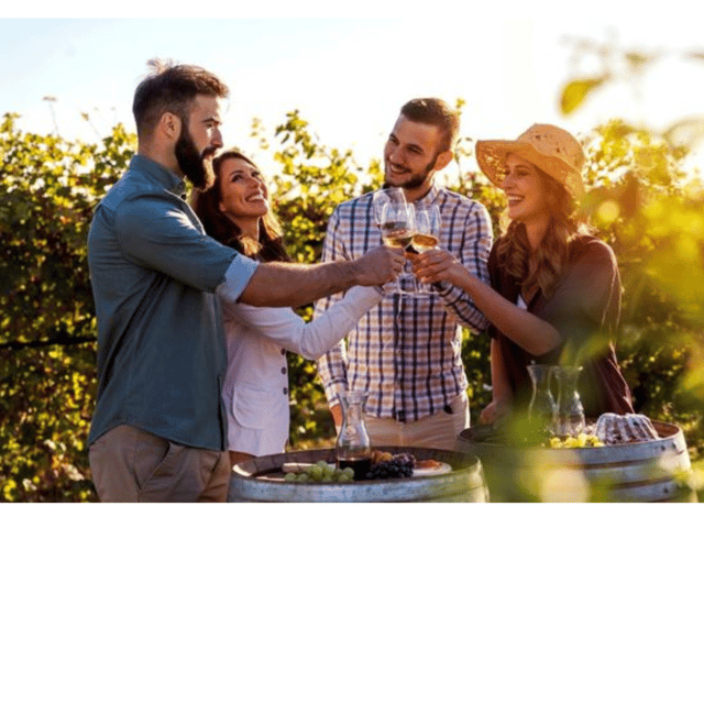 Lisbon: Private Full-Day Wine Tour with Driver - What We Loved About This Experience