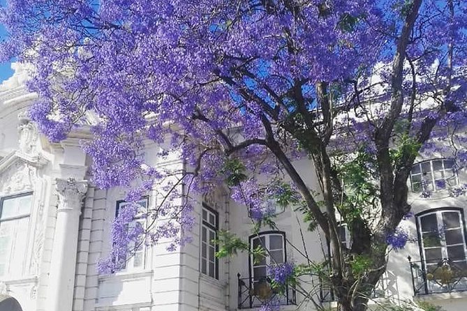 Lisbon: Private Guided Electric Tuk Tuk Tour With Tastings - Directions and Meeting Point