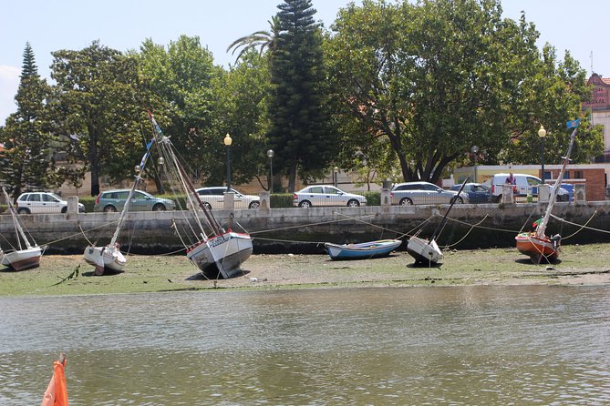 Lisbon Private Half-Day Cruise With Local Lunch - Questions and Help