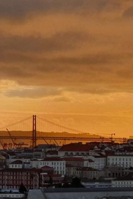 Lisbon: Private Highlights Tuk-Tuk Tour With Tapas and Wine - Inclusions
